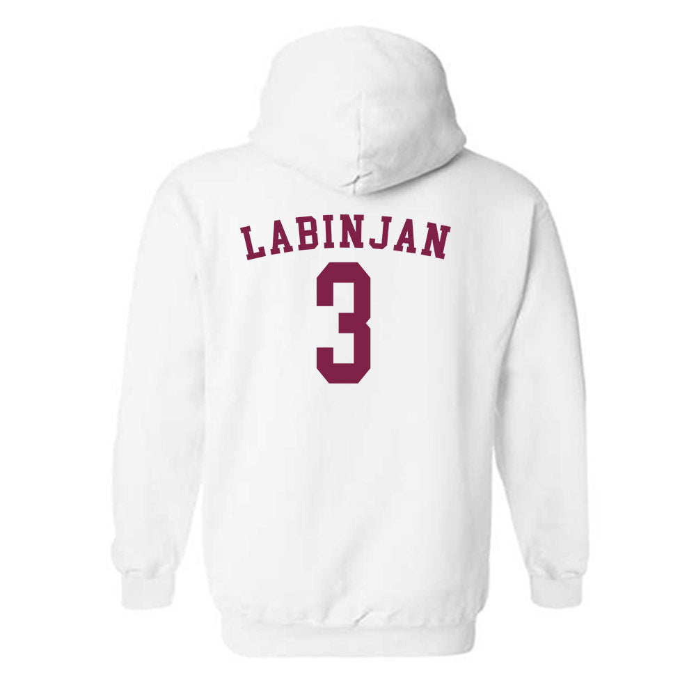 Arizona State - NCAA Women's Volleyball : Ziva Labinjan - Sports Shersey Hooded Sweatshirt-1