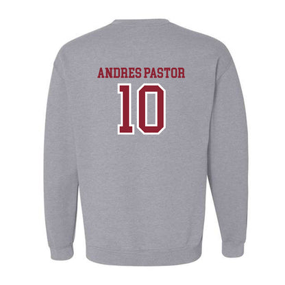 Troy - NCAA Men's Tennis : Yeray Andres Pastor - Generic Shersey Crewneck Sweatshirt-1