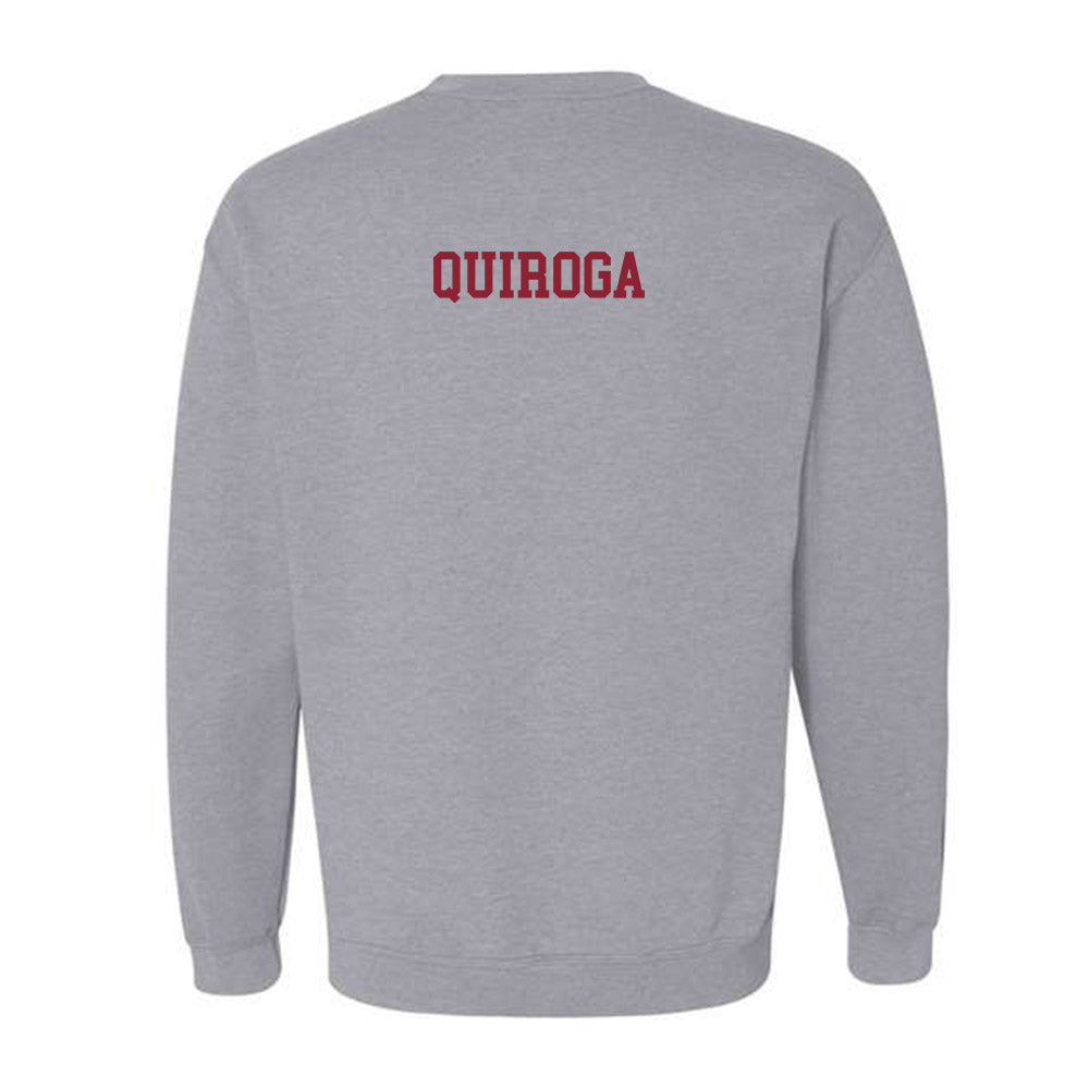Troy - NCAA Women's Golf : Constanza Quiroga - Generic Shersey Crewneck Sweatshirt-1