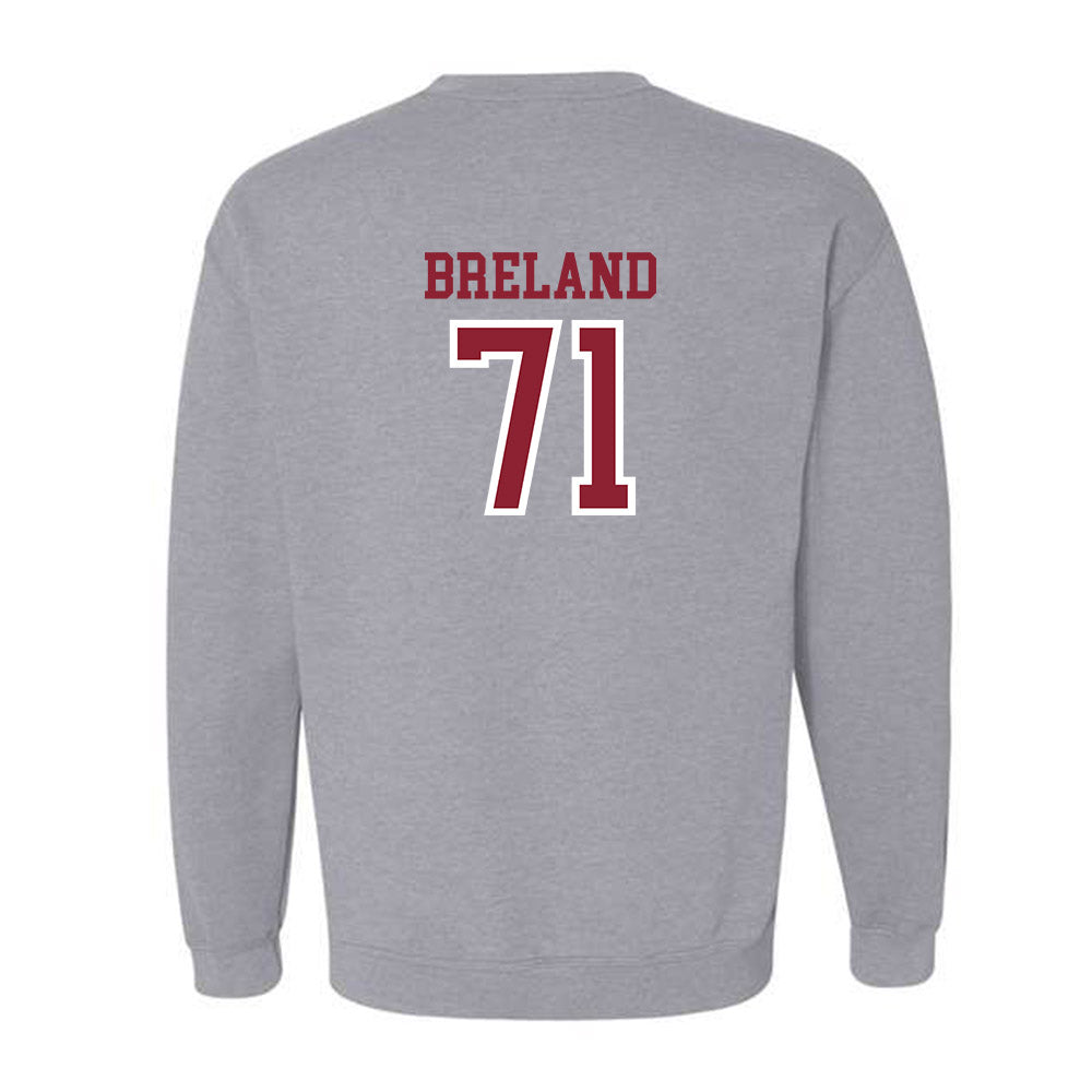 Troy - NCAA Football : Antwone Breland - Generic Shersey Crewneck Sweatshirt-1