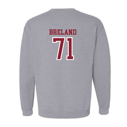 Troy - NCAA Football : Antwone Breland - Generic Shersey Crewneck Sweatshirt-1