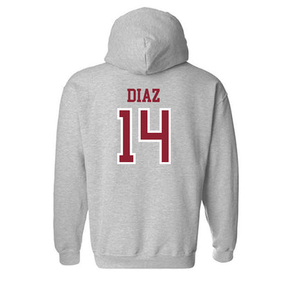 Troy - NCAA Baseball : Zaid Diaz - Generic Shersey Hooded Sweatshirt-1