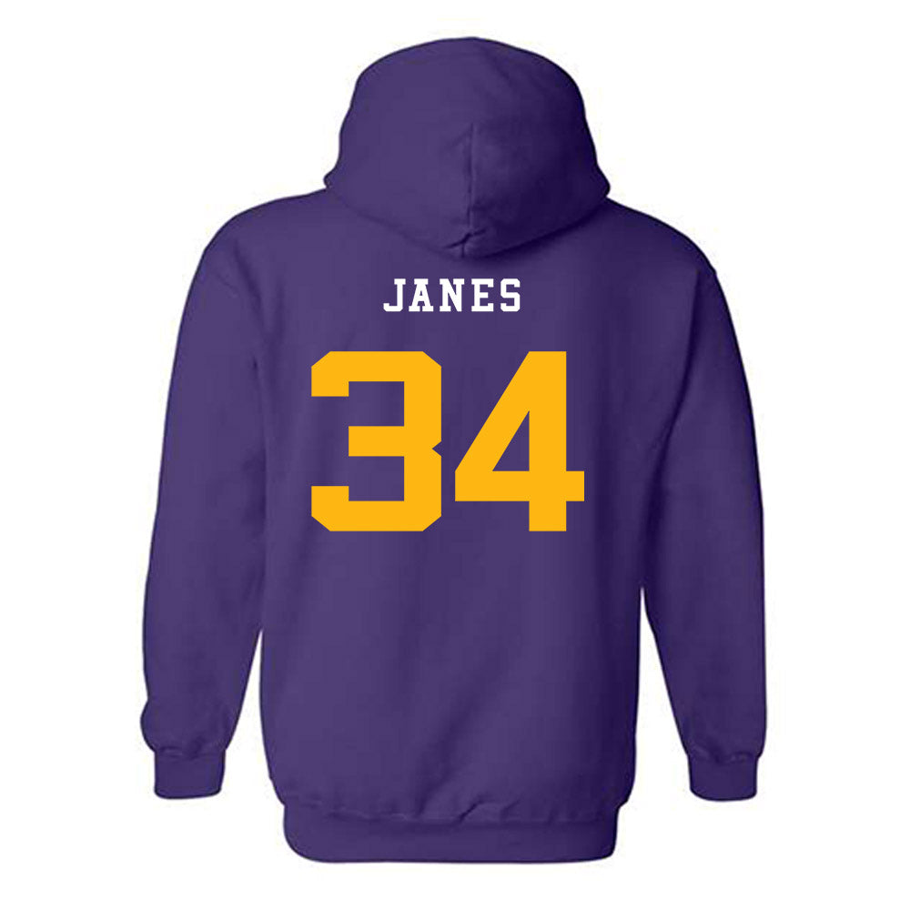 Northern Iowa - NCAA Women's Basketball : Kaylynn Janes - Classic Fashion Shersey Hooded Sweatshirt-1