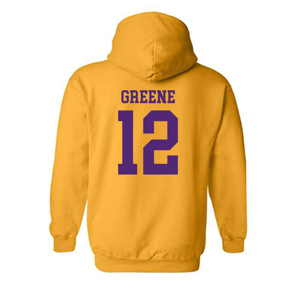Northern Iowa - NCAA Women's Basketball : Anna Greene - Classic Shersey Hooded Sweatshirt-1