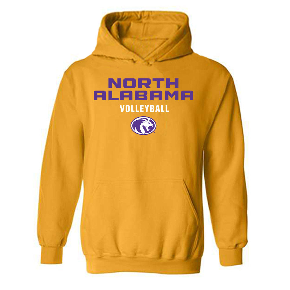 North Alabama - NCAA Women's Volleyball : Olivia Fenoff - Classic Shersey Hooded Sweatshirt