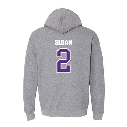 North Alabama - NCAA Baseball : Jayden Sloan - Classic Shersey Hooded Sweatshirt-1