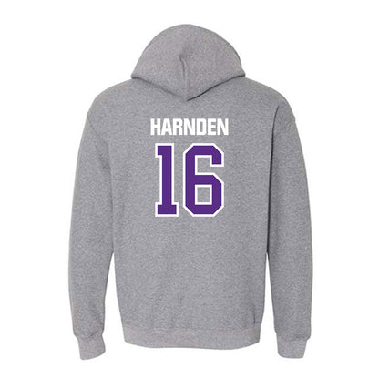 North Alabama - NCAA Beach Volleyball : Gaby Harnden - Classic Shersey Hooded Sweatshirt-1