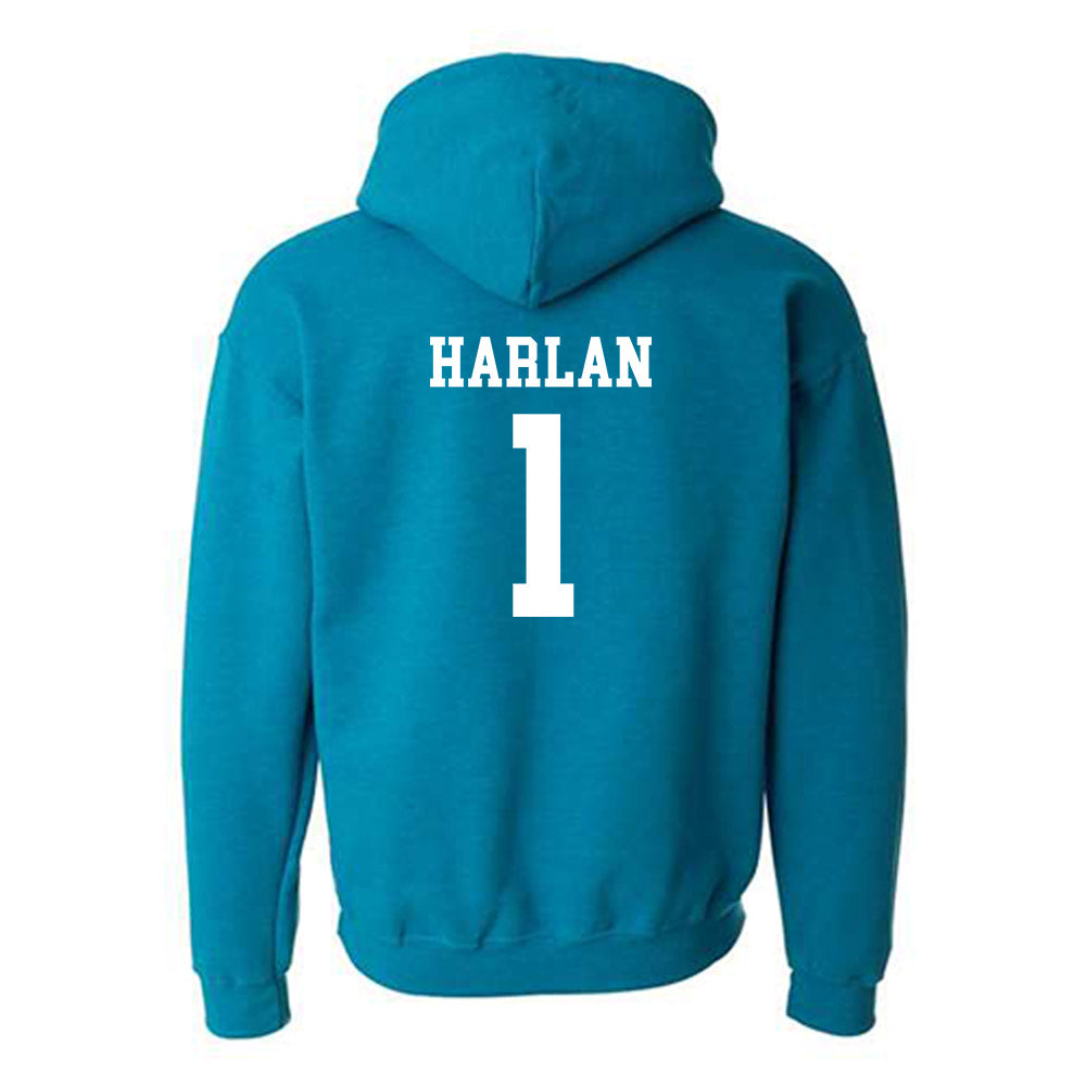 Coastal Carolina - NCAA Baseball : Cruz Harlan - Classic Shersey Hooded Sweatshirt-1