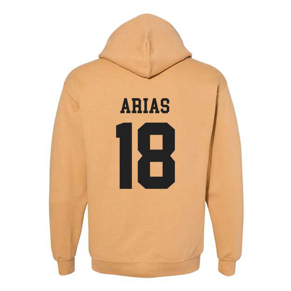 PFW - NCAA Men's Soccer : Daven Arias - Classic Fashion Shersey Hooded Sweatshirt-1