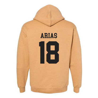 PFW - NCAA Men's Soccer : Daven Arias - Classic Fashion Shersey Hooded Sweatshirt-1