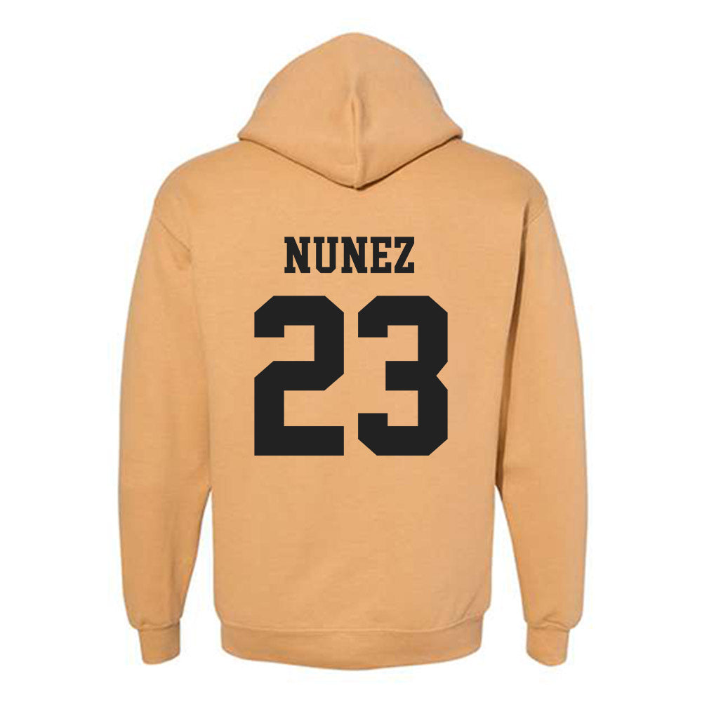 PFW - NCAA Men's Soccer : Brandon Nunez - Classic Fashion Shersey Hooded Sweatshirt-1