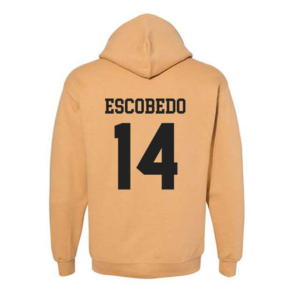 PFW - NCAA Men's Soccer : Jonny Escobedo - Classic Fashion Shersey Hooded Sweatshirt-1