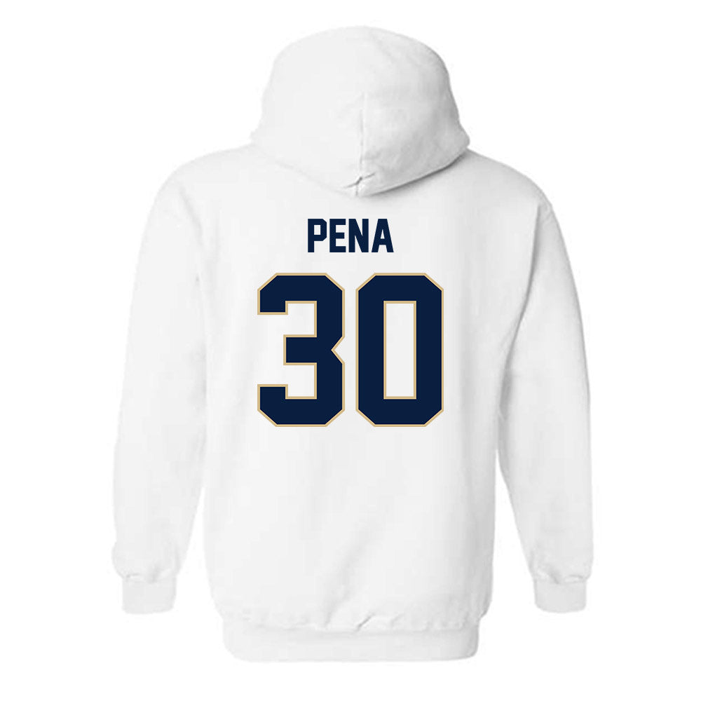 GWU - NCAA Men's Soccer : Diego Pena - Classic Fashion Shersey Hooded Sweatshirt-1