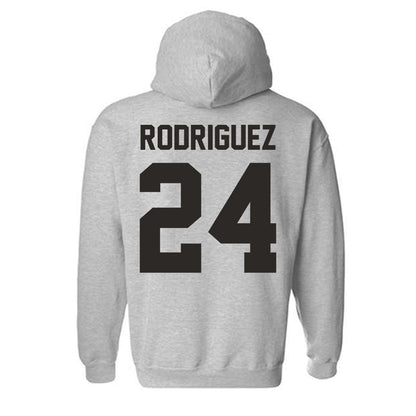 NMSU - NCAA Softball : Zantelle Rodriguez - Classic Fashion Shersey Hooded Sweatshirt-1