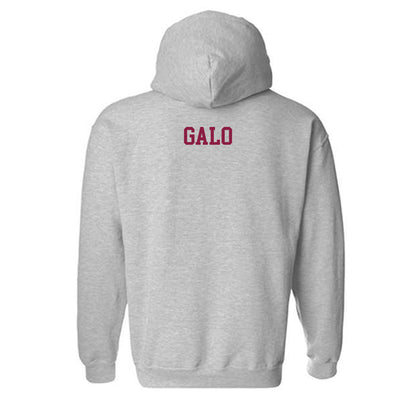 NMSU - NCAA Women's Swimming & Diving : Estel Galo - Classic Shersey Hooded Sweatshirt-1