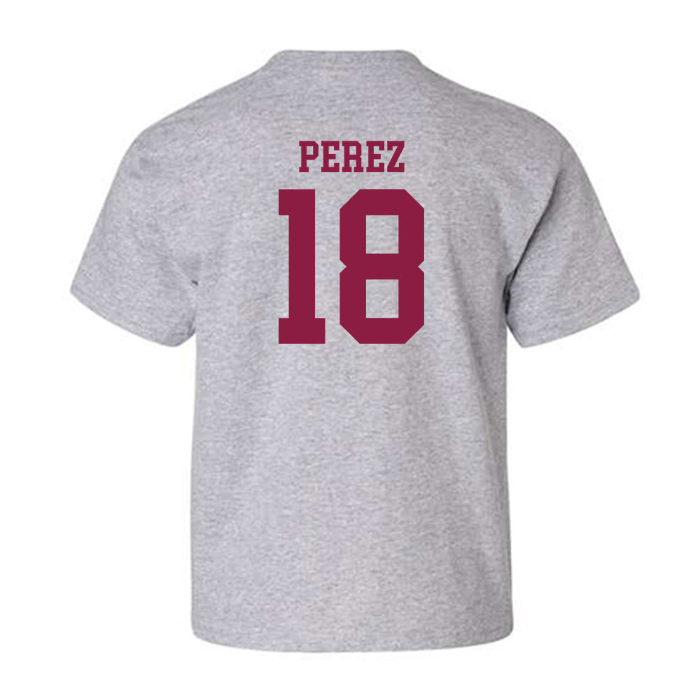 NMSU - NCAA Softball : Destiny Perez - Classic Shersey Youth T-Shirt-1