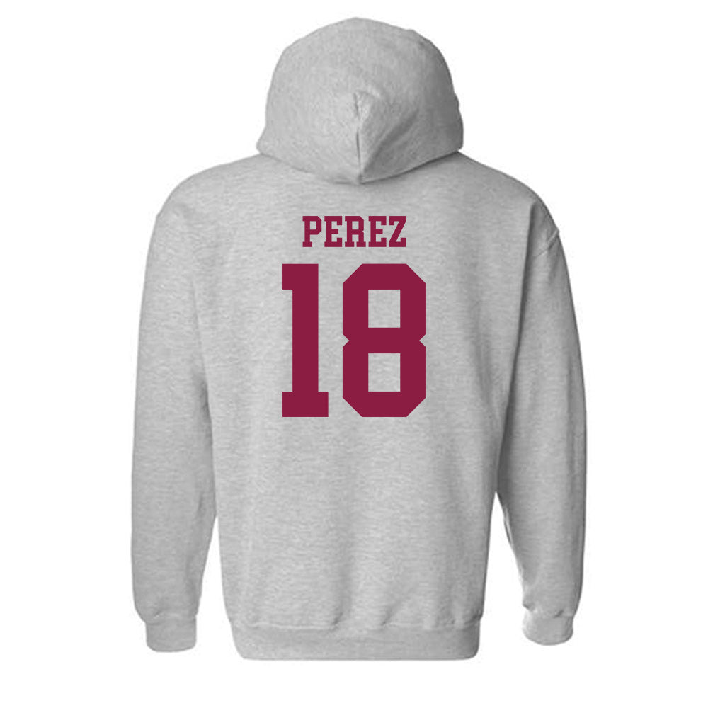 NMSU - NCAA Softball : Destiny Perez - Classic Shersey Hooded Sweatshirt-1