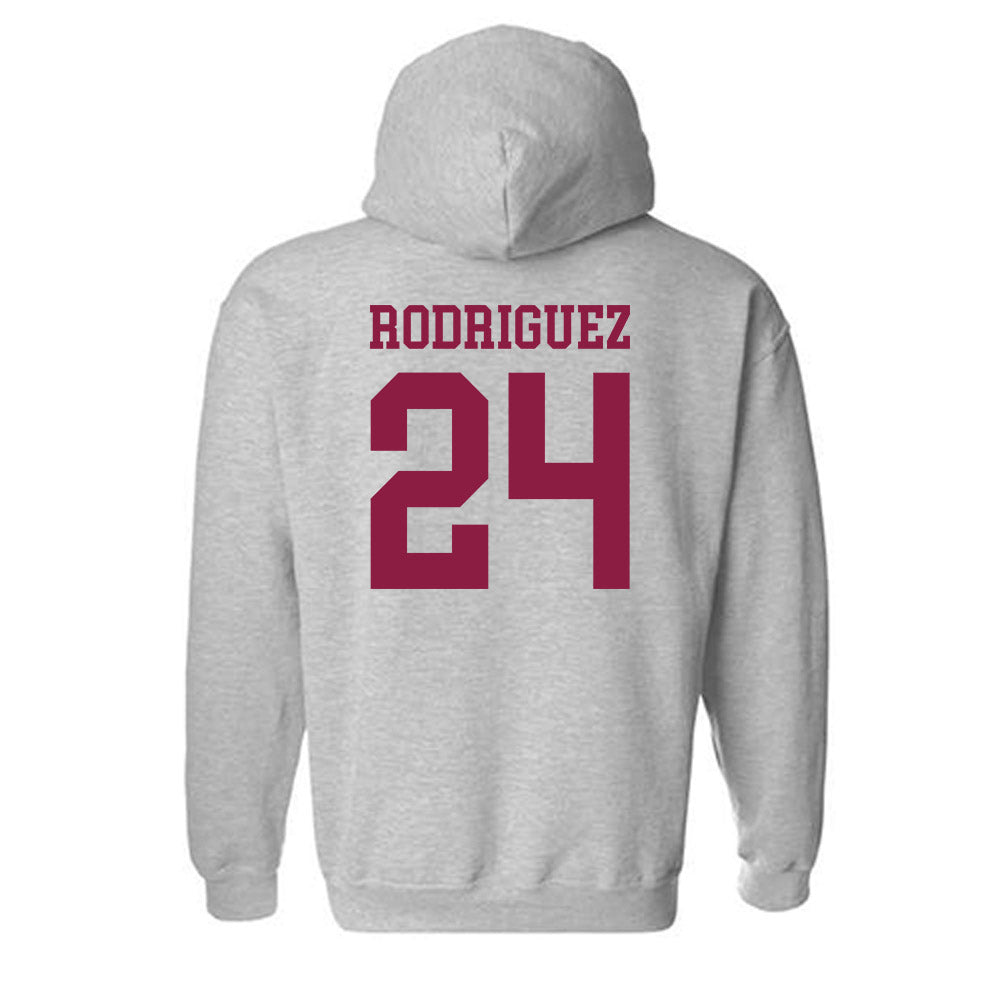 NMSU - NCAA Softball : Zantelle Rodriguez - Classic Shersey Hooded Sweatshirt-1