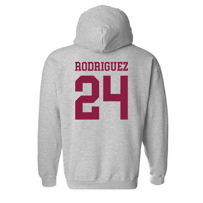 NMSU - NCAA Softball : Zantelle Rodriguez - Classic Shersey Hooded Sweatshirt-1