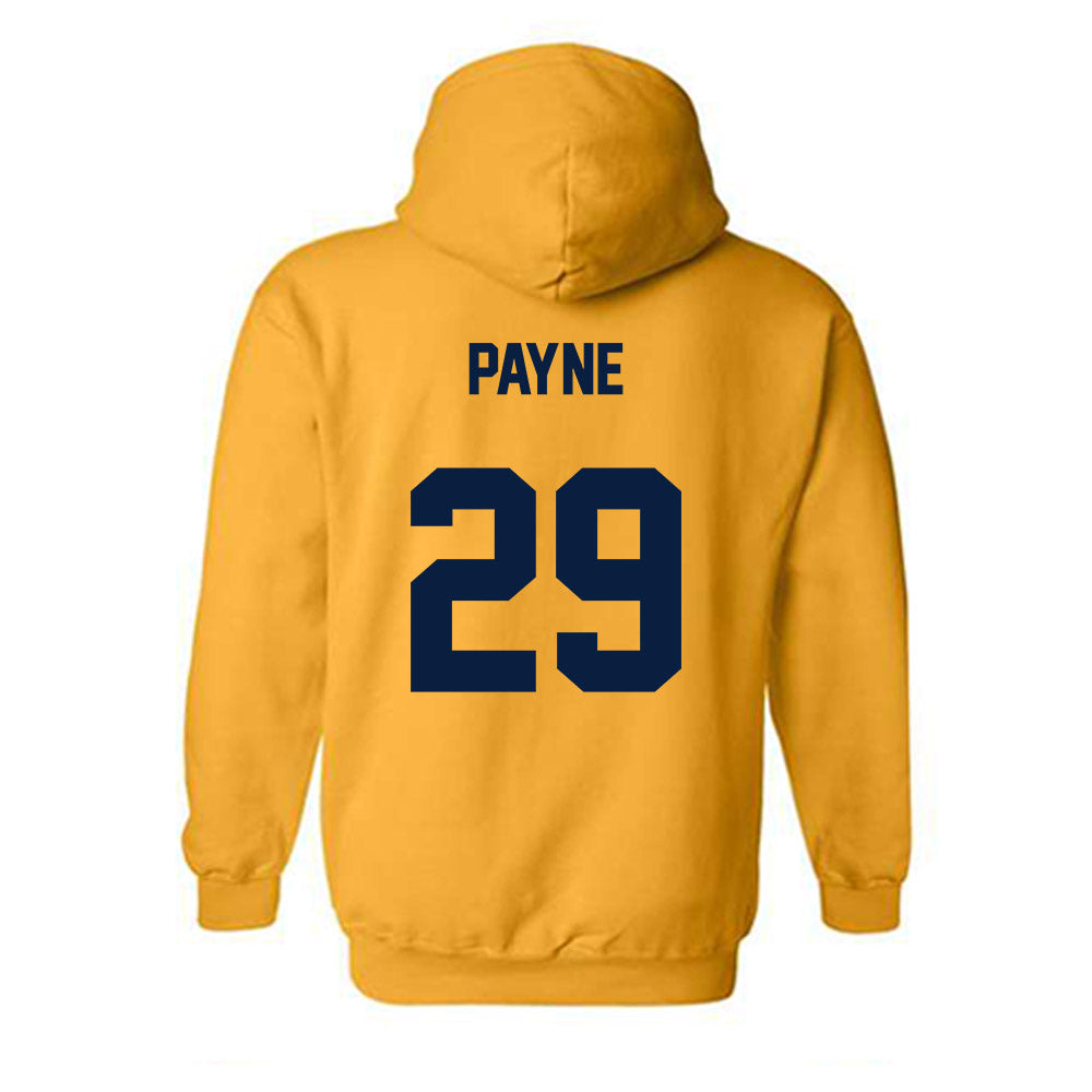 East Tennessee State - NCAA Softball : Kennedy Payne - Classic Shersey Hooded Sweatshirt-1