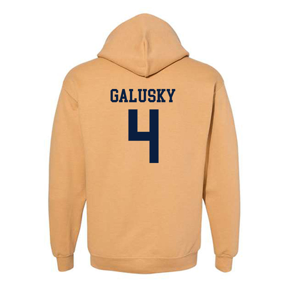 East Tennessee State - NCAA Baseball : Ty Galusky - Classic Shersey Hooded Sweatshirt-1