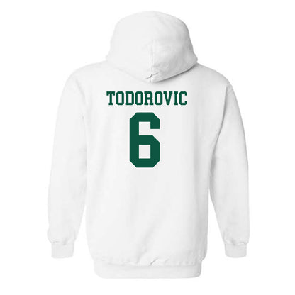 UW Green Bay - NCAA Men's Basketball : Vukasin Todorovic - Classic Shersey Hooded Sweatshirt-1