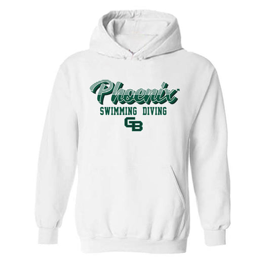 UW Green Bay - NCAA Men's Swimming & Diving : Tyler Zarbock - Classic Shersey Hooded Sweatshirt-0