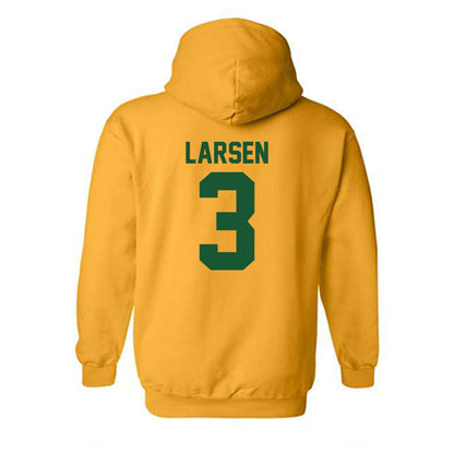 Colorado State - NCAA Women's Basketball : Elsie Larsen - Hooded Sweatshirt-1