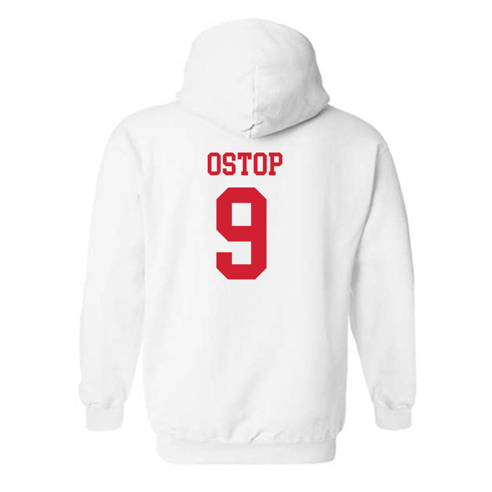 Fairfield - NCAA Men's Basketball : Tanner Ostop - Classic Shersey Hooded Sweatshirt-1