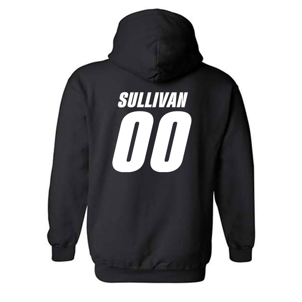 UT Martin - NCAA Softball : Sophia Sullivan - Classic Shersey Hooded Sweatshirt-1