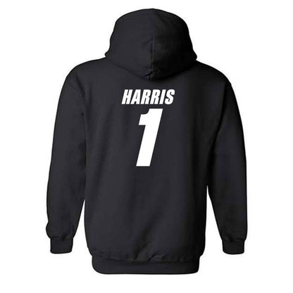 UT Martin - NCAA Softball : Payton Harris - Classic Shersey Hooded Sweatshirt-1