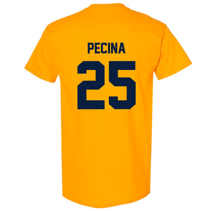AU - NCAA Football : Jake Pecina - Classic Fashion Shersey T-Shirt-1