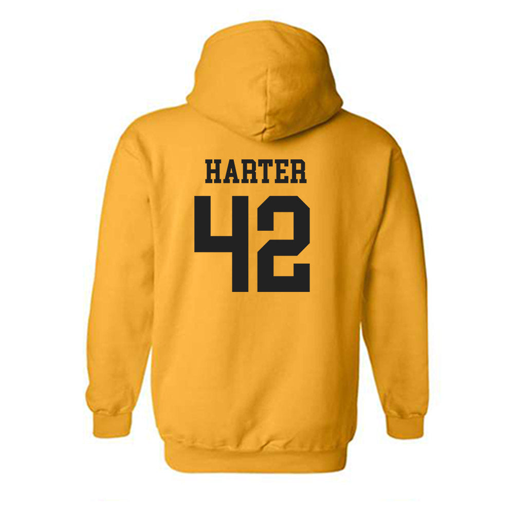 PLU - NCAA Women's Lacrosse : Mikayla Harter - Classic Shersey Hooded Sweatshirt-1