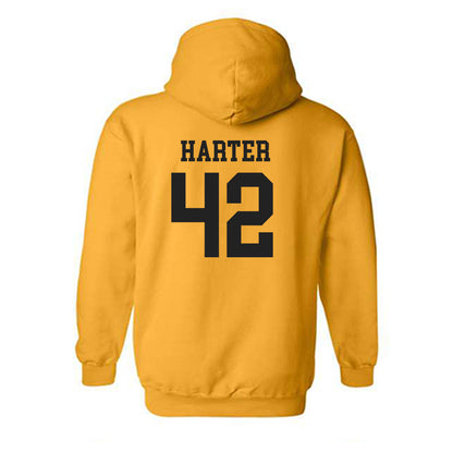 PLU - NCAA Women's Lacrosse : Mikayla Harter - Classic Shersey Hooded Sweatshirt-1