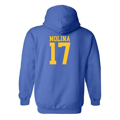 CSU Bakersfield - NCAA Softball : Jocelynn Molina - Classic Shersey Hooded Sweatshirt-1