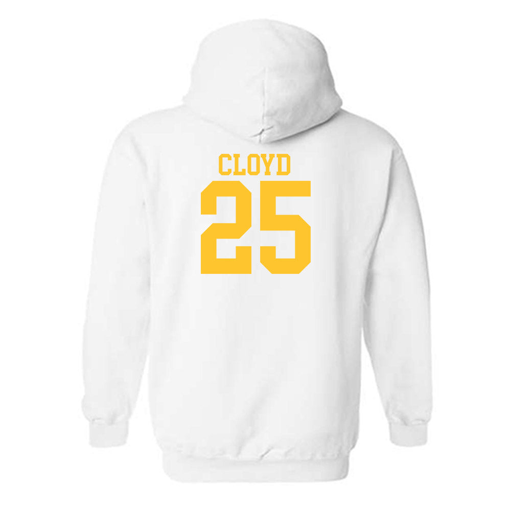 CSU Bakersfield - NCAA Baseball : Evan Cloyd - Classic Shersey Hooded Sweatshirt-1