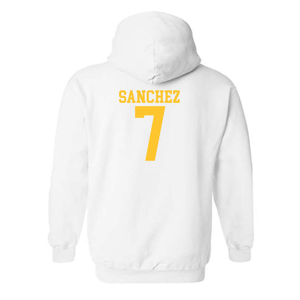 CSU Bakersfield - NCAA Softball : Jillian Sanchez Sanchez - Classic Shersey Hooded Sweatshirt
