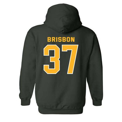 Baylor - NCAA Football : Demetrius Brisbon - Classic Fashion Shersey Hooded Sweatshirt-1