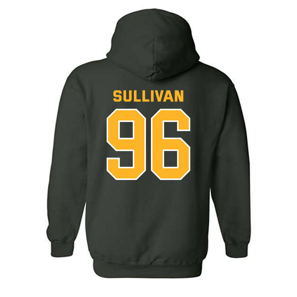 Baylor - NCAA Football : Riley Sullivan - Classic Fashion Shersey Hooded Sweatshirt-1
