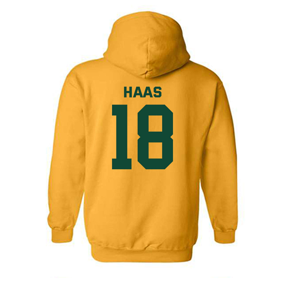 Baylor - NCAA Softball : Harper Haas - Classic Fashion Shersey Hooded Sweatshirt-1