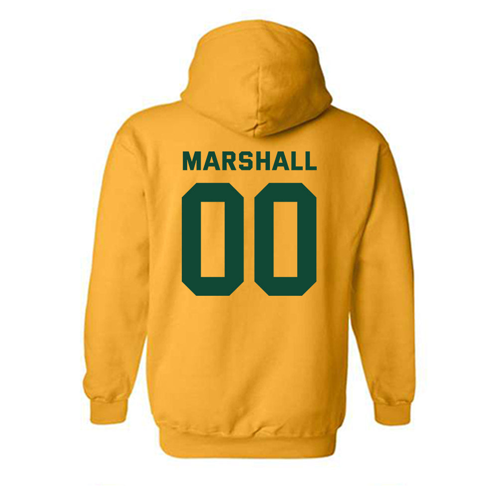 Baylor - NCAA Softball : Kaygen Marshall - Classic Fashion Shersey Hooded Sweatshirt-1