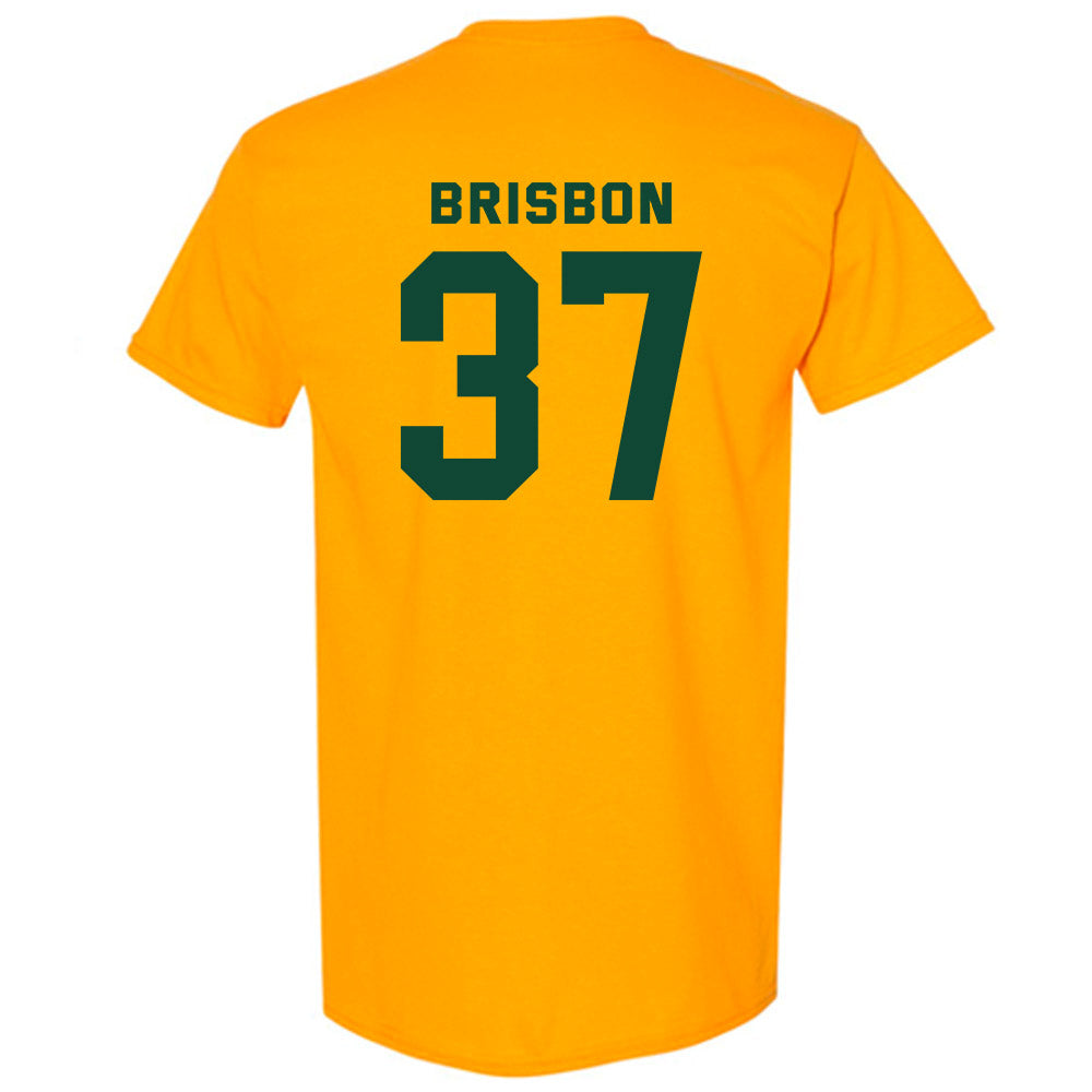 Baylor - NCAA Football : Demetrius Brisbon - Classic Fashion Shersey T-Shirt-1
