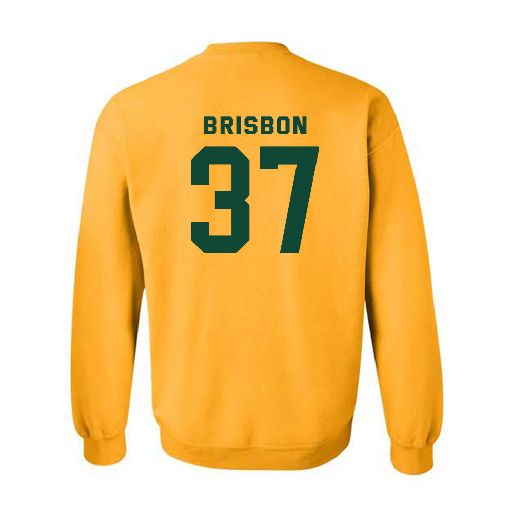 Baylor - NCAA Football : Demetrius Brisbon - Classic Fashion Shersey Crewneck Sweatshirt-1