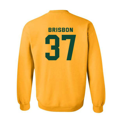 Baylor - NCAA Football : Demetrius Brisbon - Classic Fashion Shersey Crewneck Sweatshirt-1