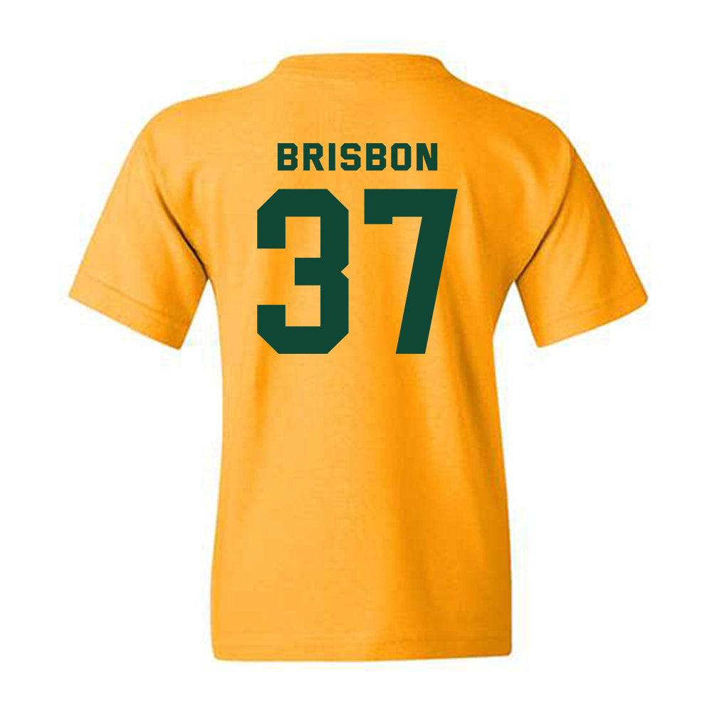 Baylor - NCAA Football : Demetrius Brisbon - Classic Fashion Shersey Youth T-Shirt-1