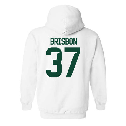 Baylor - NCAA Football : Demetrius Brisbon - Classic Shersey Hooded Sweatshirt-1