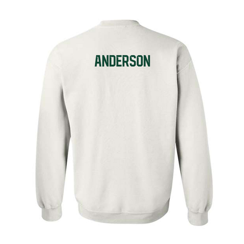 Baylor - NCAA Men's Tennis : Blake Anderson - Classic Shersey Crewneck Sweatshirt-1