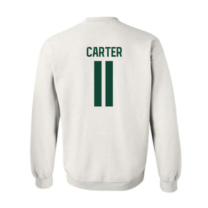 Baylor - NCAA Softball : Brooklyn Carter - Classic Shersey Crewneck Sweatshirt