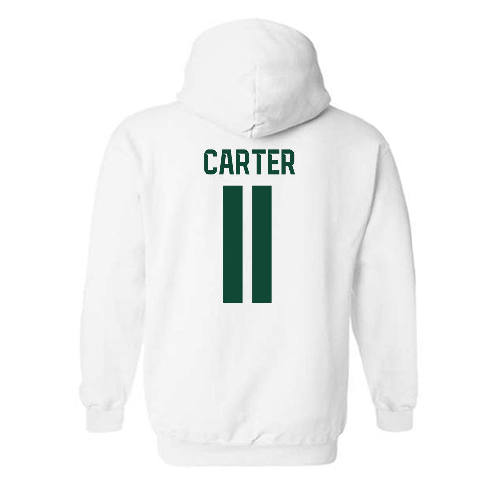 Baylor - NCAA Softball : Brooklyn Carter - Classic Shersey Hooded Sweatshirt