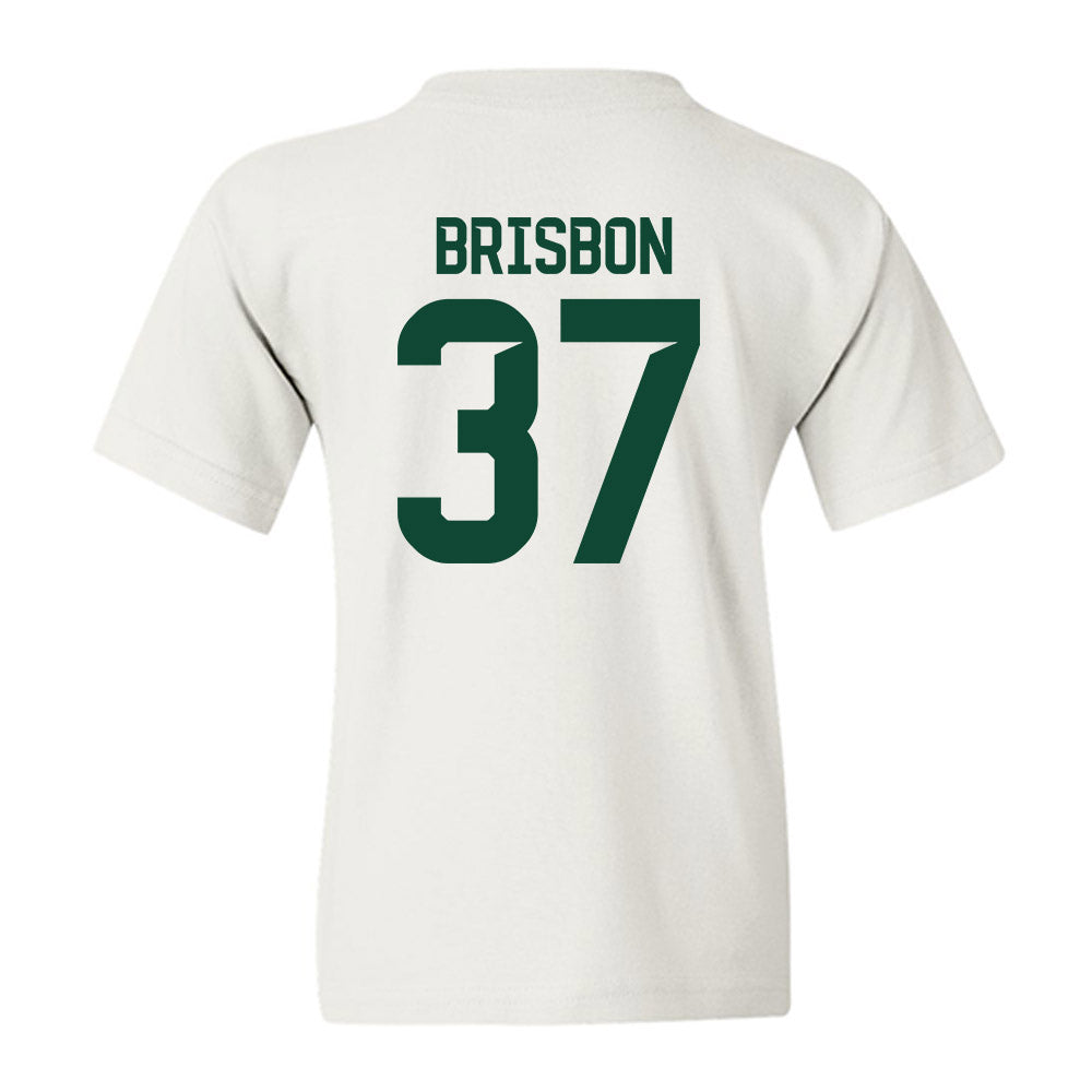 Baylor - NCAA Football : Demetrius Brisbon - Classic Shersey Youth T-Shirt-1
